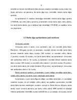 Referāts 'Darba samaksa Latvijā', 15.