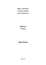 Referāts 'Mājas balodis', 1.