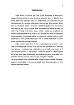 Referāts 'Mājas balodis', 8.