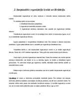 Referāts 'Starptautiskās organizācijas', 6.