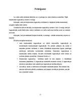 Referāts 'Starptautiskās organizācijas', 17.