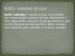 Prezentācija 'Īru valoda', 3.