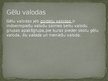 Prezentācija 'Īru valoda', 5.