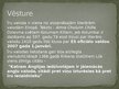Prezentācija 'Īru valoda', 6.