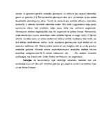 Referāts 'Cēsu viduslaiku pils arhitektūra', 5.