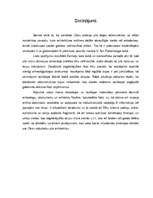 Referāts 'Cēsu viduslaiku pils arhitektūra', 6.