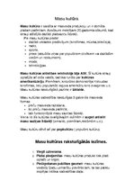 Konspekts 'Masu kultūra', 1.