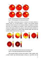 Referāts 'Elektroencefalogrammas reģistrēšanas metodika, izmantojot datorprogrammu Win EEG', 31.
