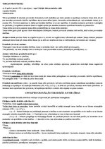 Referāts 'Konspekts civilprocesā', 2.