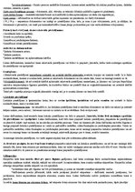 Referāts 'Konspekts civilprocesā', 23.