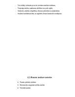 Referāts 'Firmas saimnieciskās darbības finanšu analīze', 4.