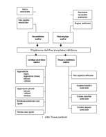 Referāts 'Firmas saimnieciskās darbības finanšu analīze', 6.