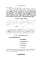 Referāts 'Galvas un muguras smadzenes', 4.