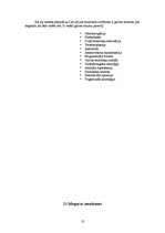 Referāts 'Galvas un muguras smadzenes', 13.