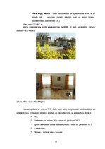 Diplomdarbs 'Viesu nama "Kurši" stratēģiskās attīstības perspektīvas', 16.