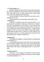 Diplomdarbs 'Viesu nama "Kurši" stratēģiskās attīstības perspektīvas', 35.