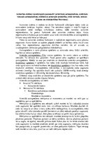 Konspekts 'Asinsrites sistēmu raksturojošie parametri', 1.