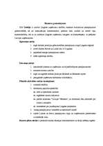 Biznesa plāns 'Biznesa plāns', 5.