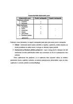 Biznesa plāns 'Biznesa plāns', 6.