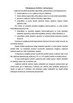 Biznesa plāns 'Biznesa plāns', 7.