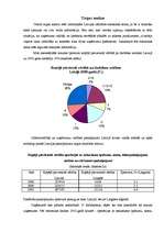 Biznesa plāns 'Biznesa plāns', 8.