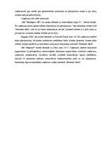 Biznesa plāns 'Biznesa plāns', 11.