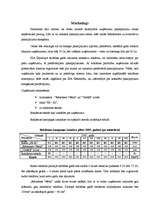 Biznesa plāns 'Biznesa plāns', 12.