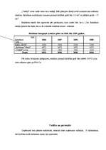 Biznesa plāns 'Biznesa plāns', 13.