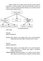 Biznesa plāns 'Biznesa plāns', 14.