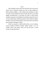 Referāts 'Referāts konfliktoloģijā', 2.