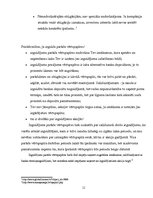 Referāts 'Vērtspapīri, to raksturojums', 11.