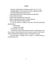 Referāts 'Virtuālā organizācija un atspoguļojums praksē', 3.