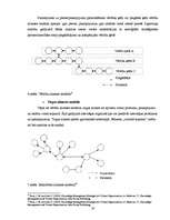 Referāts 'Virtuālā organizācija un atspoguļojums praksē', 19.