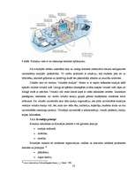 Referāts 'Virtuālā organizācija un atspoguļojums praksē', 22.