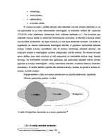 Referāts 'Virtuālā organizācija un atspoguļojums praksē', 23.