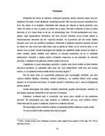 Referāts 'Virtuālā organizācija un atspoguļojums praksē', 30.