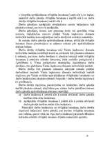 Prakses atskaite 'Prakses atskaite ekonomikā', 20.