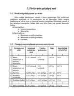 Referāts 'Biznesa plāns interneta klubam "E-laiks"', 6.