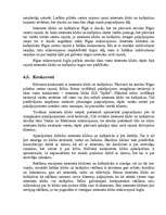 Referāts 'Biznesa plāns interneta klubam "E-laiks"', 9.