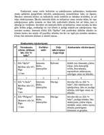 Referāts 'Biznesa plāns interneta klubam "E-laiks"', 10.