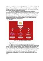 Referāts 'A/s "Cēsu alus" darbinieku motivācijas līmeņa paaugstināšanas projekts', 11.