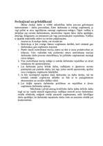 Referāts 'A/s "Cēsu alus" darbinieku motivācijas līmeņa paaugstināšanas projekts', 29.