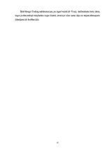 Referāts 'Marginālā tirdzniecība FOREX tirgū', 13.