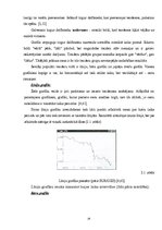 Referāts 'Marginālā tirdzniecība FOREX tirgū', 19.