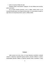 Referāts 'Pašvaldību vēlēšanas Latvijā', 16.