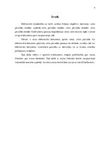 Referāts 'E-dokumentu izmantošanas priekšrocības informācijas apmaiņā ar muitas klientiem', 4.