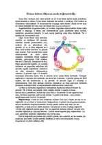 Eseja 'Šūnas dzīves cikls un audu reģenerācija', 1.