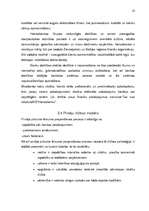 Referāts 'A/s "Hansabanka" mārketinga vides un stratēģijas analīze un darbības plānošana', 23.