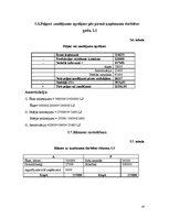 Biznesa plāns 'Viesmīlības uzņēmuma attīstības plāns', 19.