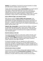 Konspekts 'Seno latviešu vēsture, kultūra, mitoloģija, sabiedrība un kultūras mantojums: ko', 25.